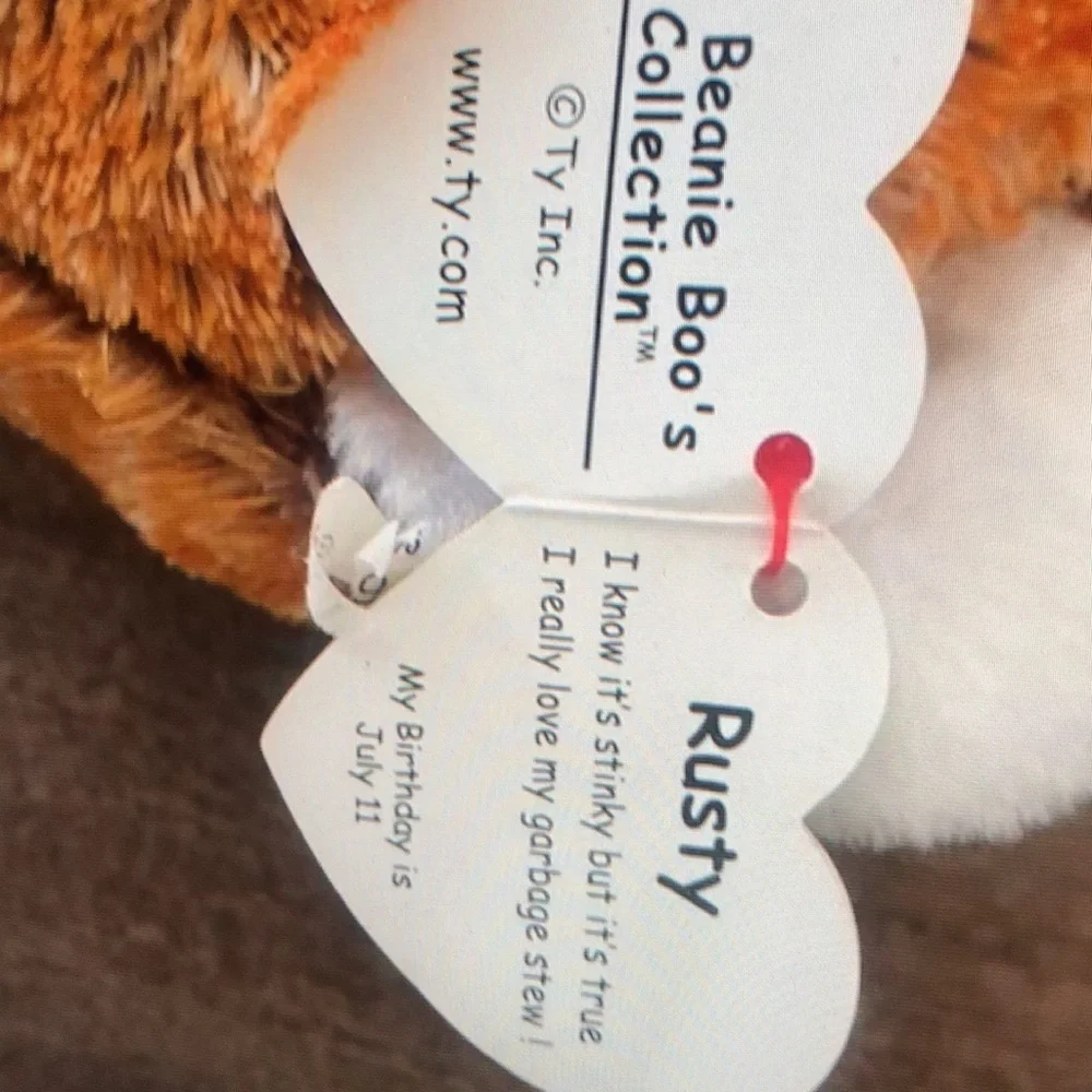 Ty beanie Boo Rusty Racoon - Picture 5 of 5